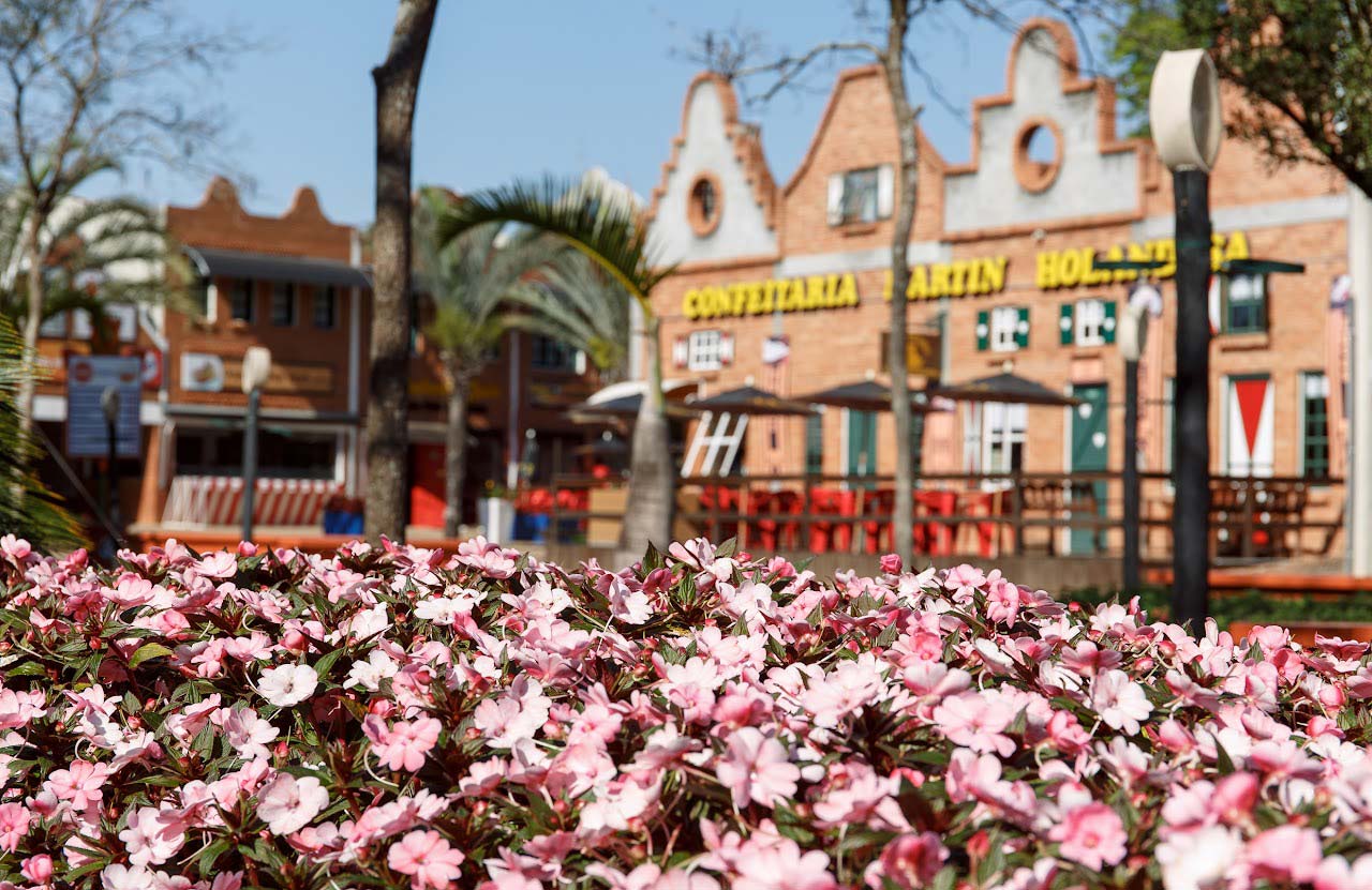 Como Visitar Os Campos De Flores De Holambra Blog Matiz Jaguariuna