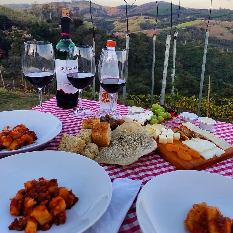 Pratos de nhoque e garrafa de vinho sobre toalha xadrez vermelha