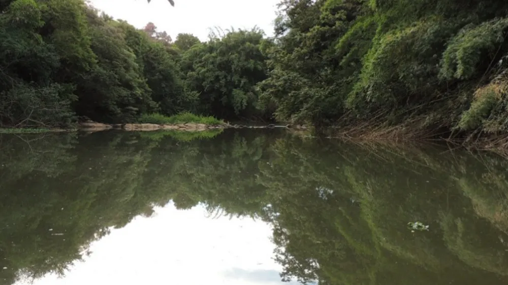 Rio com árvores em sua margem