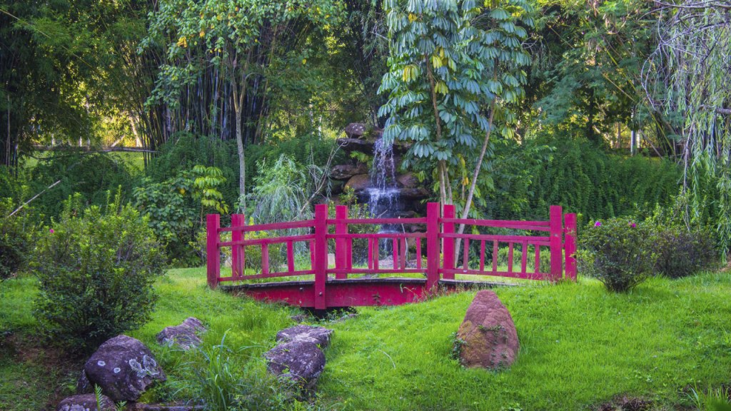 Parque mostrando jardim japonês e ponte vermelha