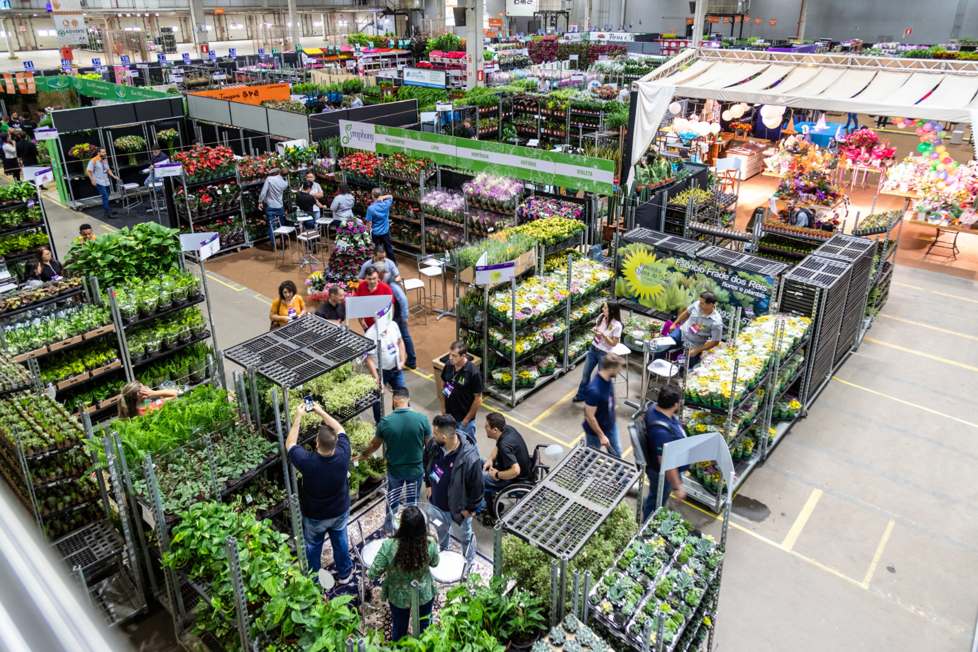 Pessoas olhando flores e plantas